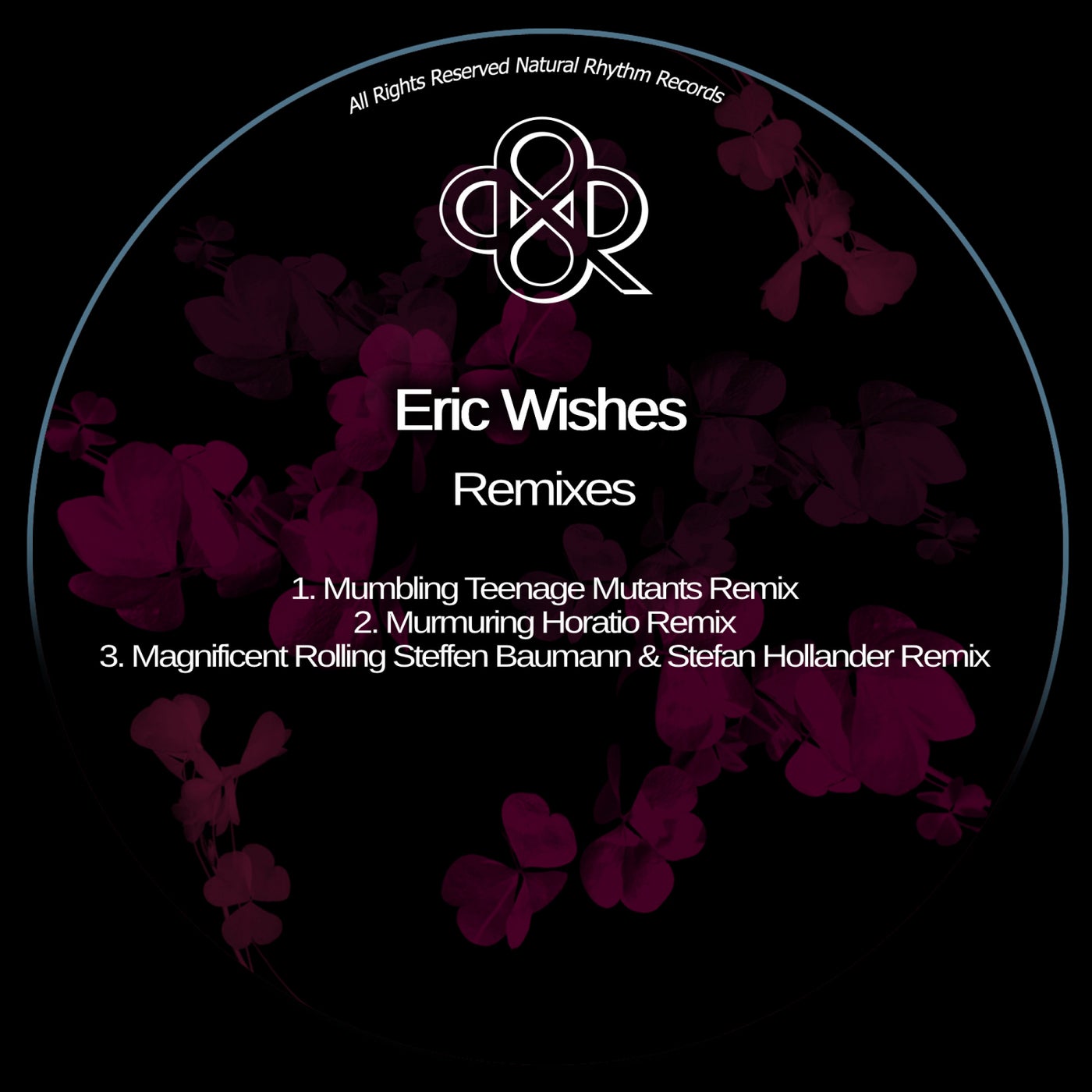 Eric Wishes – Remixes [NR390]